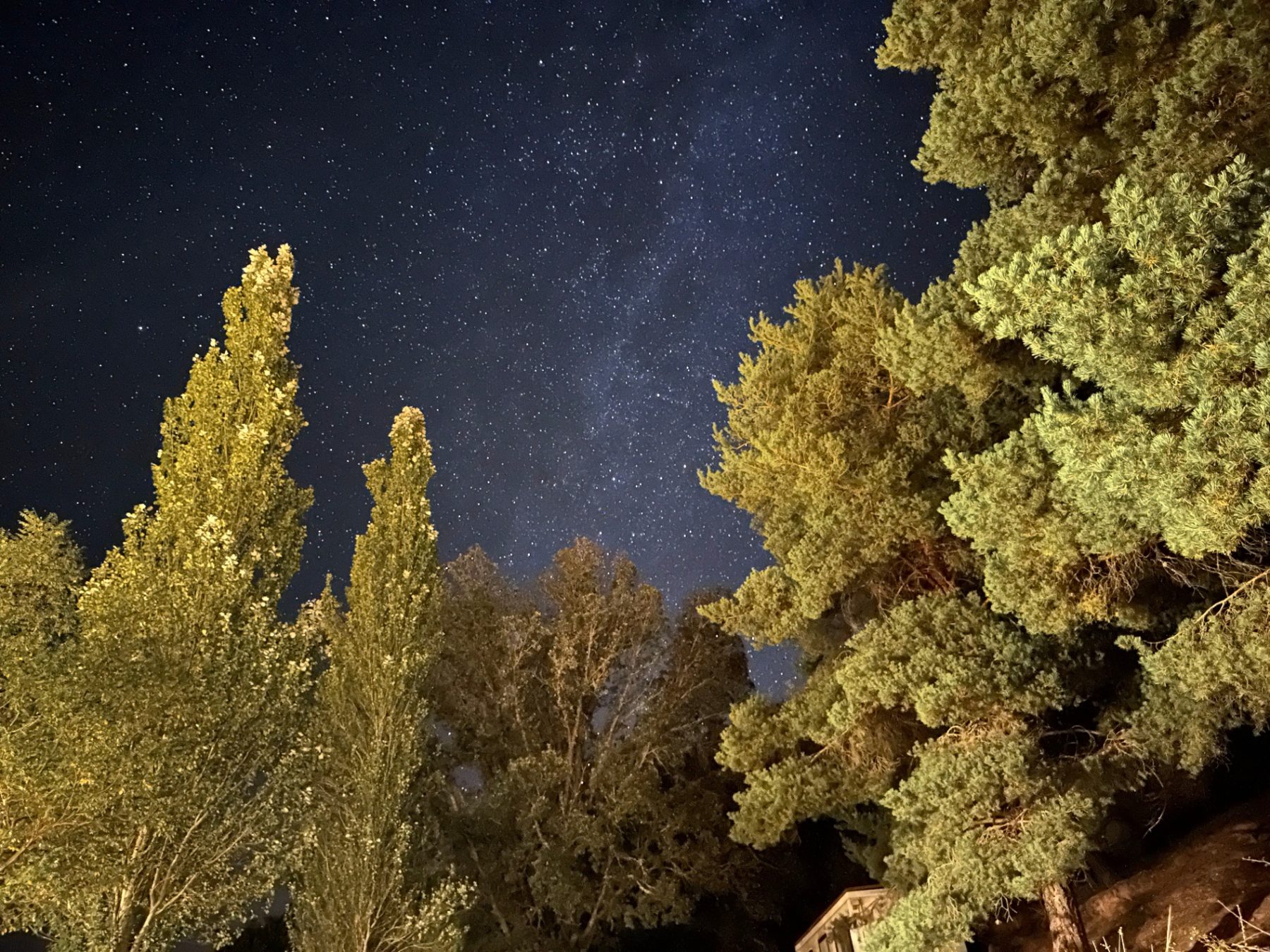 Pinares de Muriel Viejo bajo un cielo estrellado